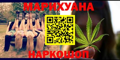 индика Дубна