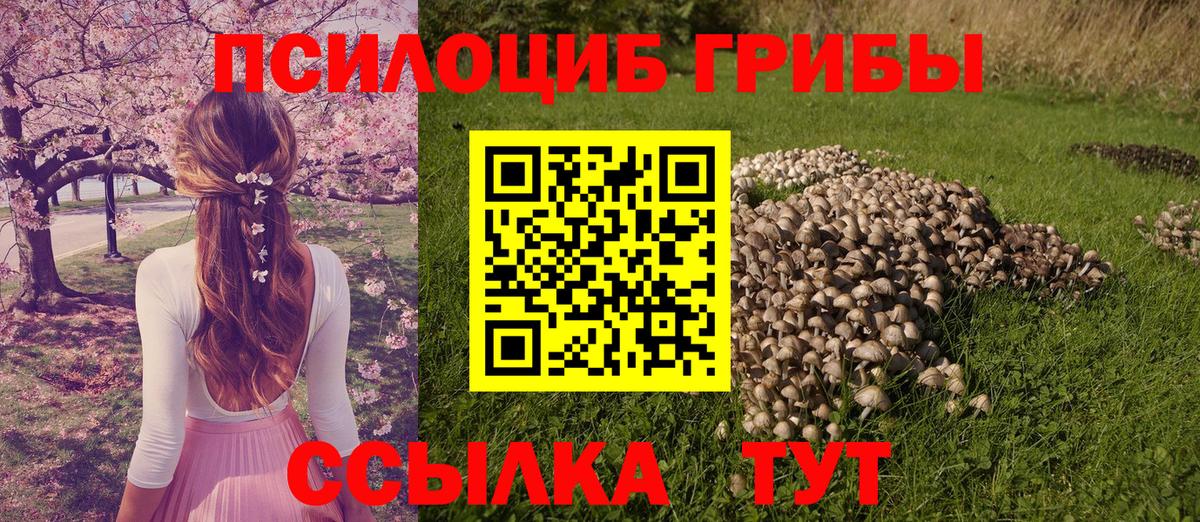 Галлюциногенные грибы Magic Shrooms  Вход с VPN  Галлюциногенные грибы ЛСД  Дербент 