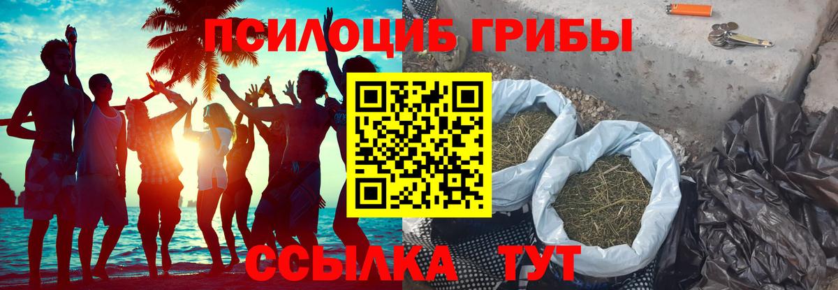 Псилоцибиновые грибы GOLDEN TEACHER Дербент